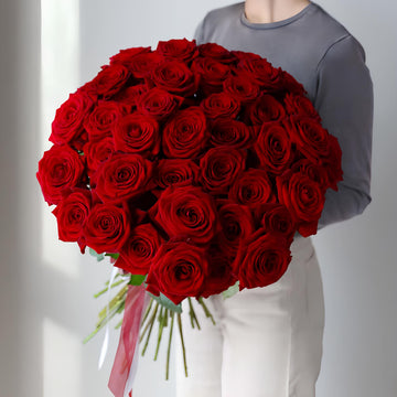 Veloura Rouge