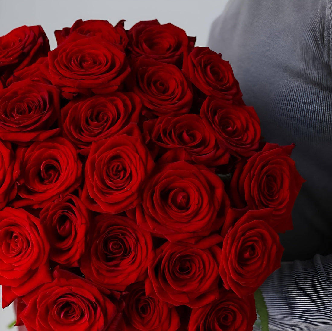 Veloura Rouge