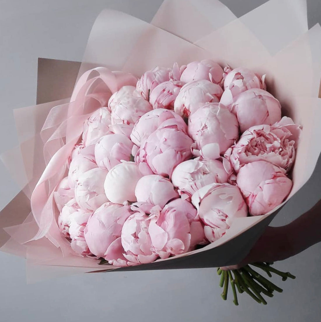Pink Peonies